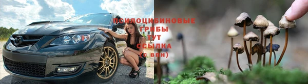 прущий лед Нягань
