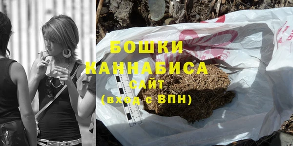 тгк Новозыбков