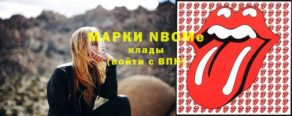 тгк Новозыбков