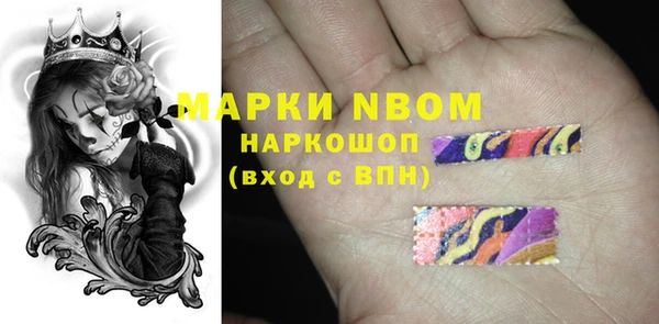 тгк Новозыбков