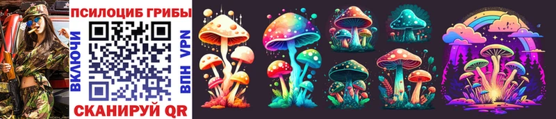 Галлюциногенные грибы Psilocybine cubensis Закаменск